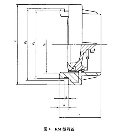 图4  KM型闷盖