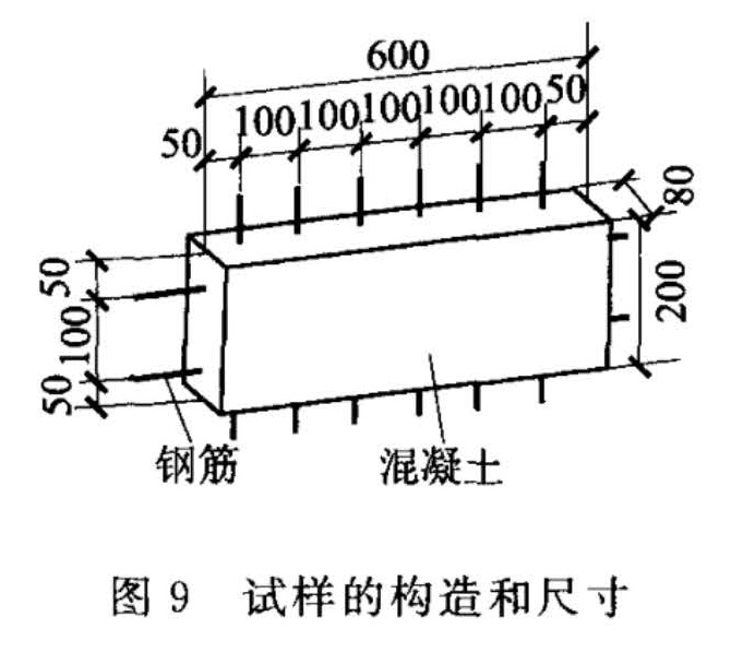 图9  试样的构造和尺寸