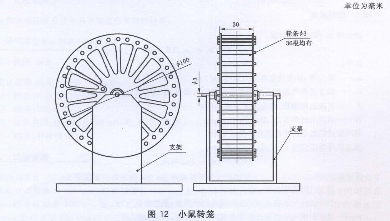 图12 小鼠转笼